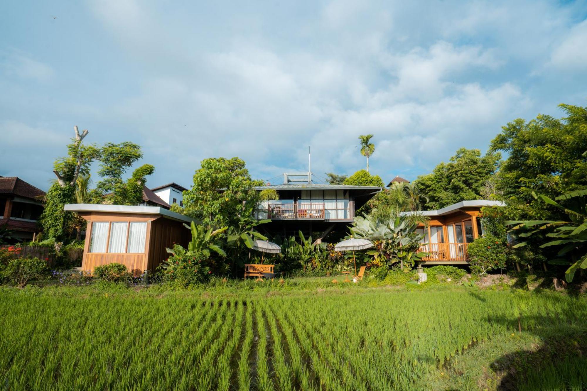 Gruen Ubud Ngoại thất bức ảnh