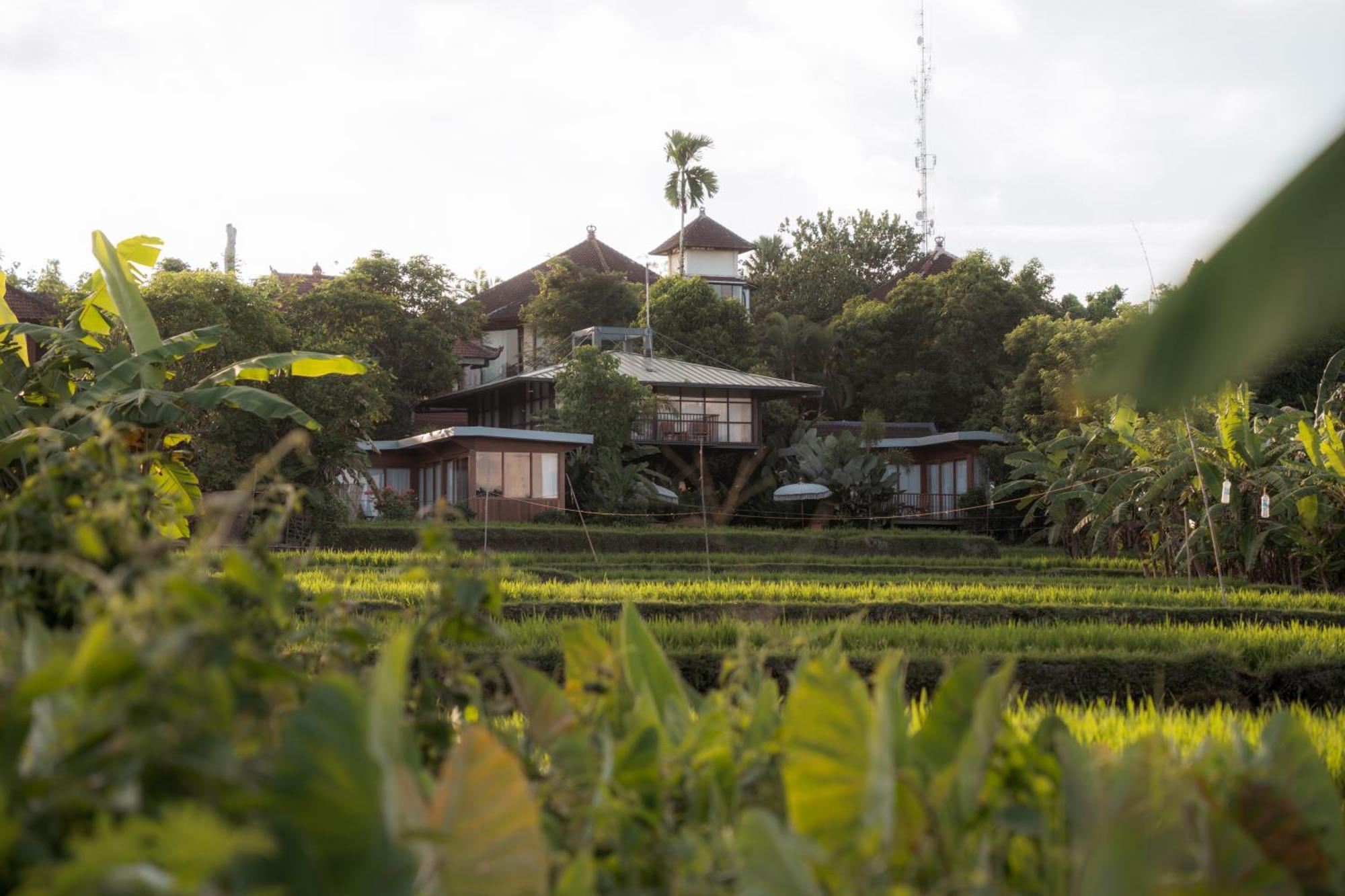 Gruen Ubud Ngoại thất bức ảnh