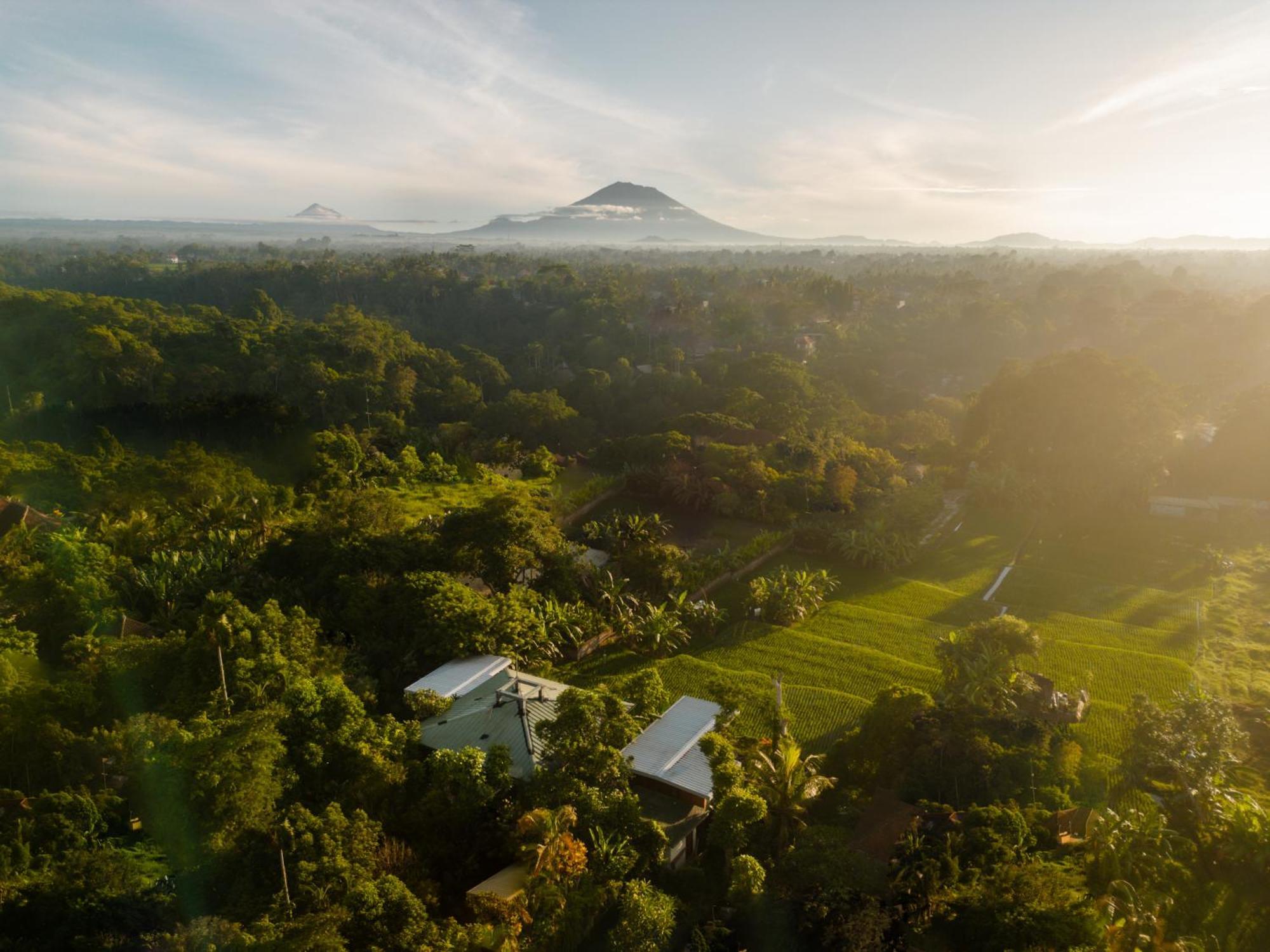 Gruen Ubud Ngoại thất bức ảnh