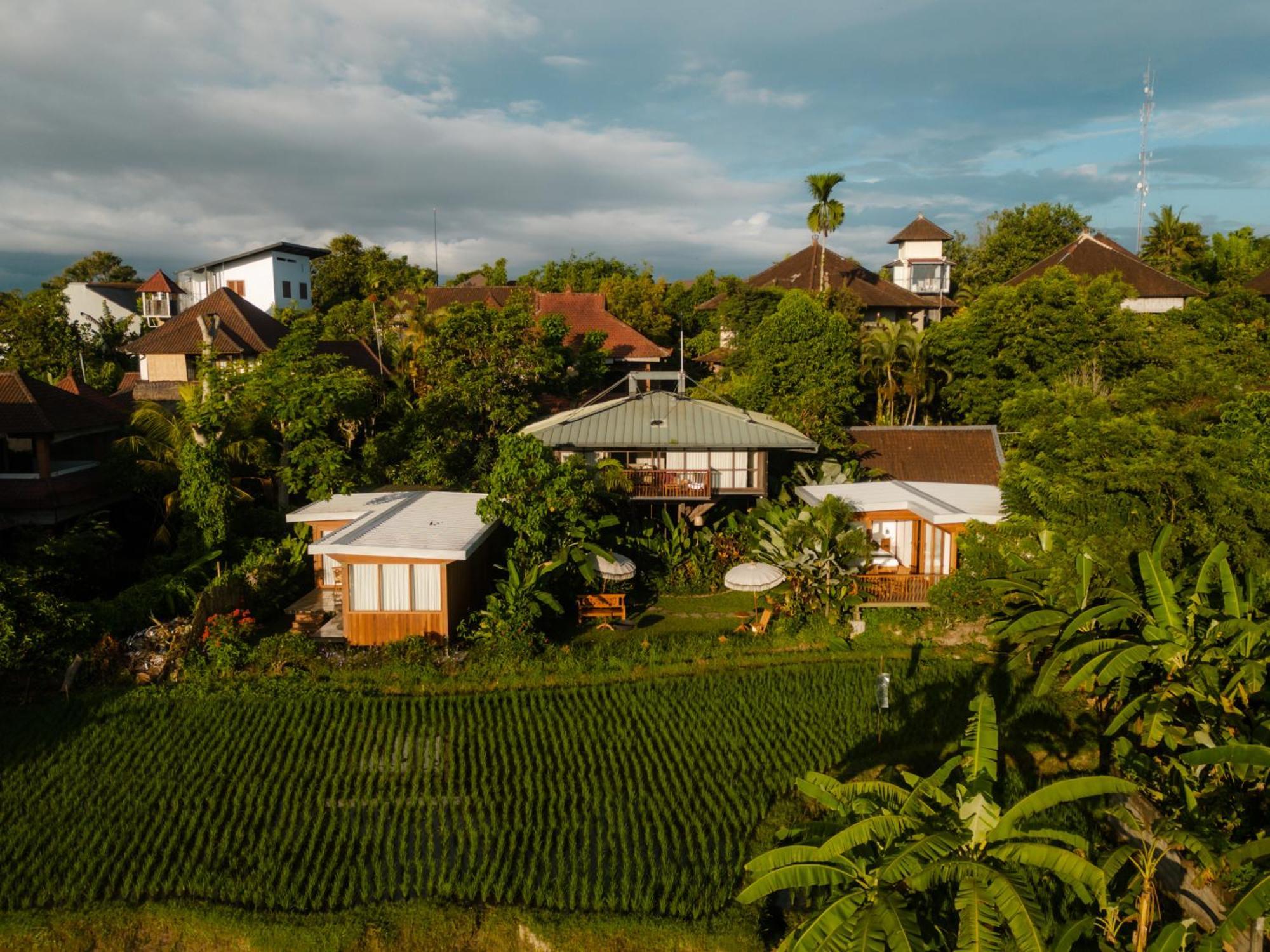 Gruen Ubud Ngoại thất bức ảnh